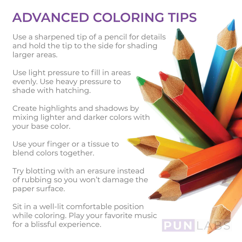 Novel Hues Colored Pencils for Fans of Classic Literature
